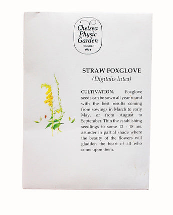 CPG Straw Foxglove  - Seed Packet
