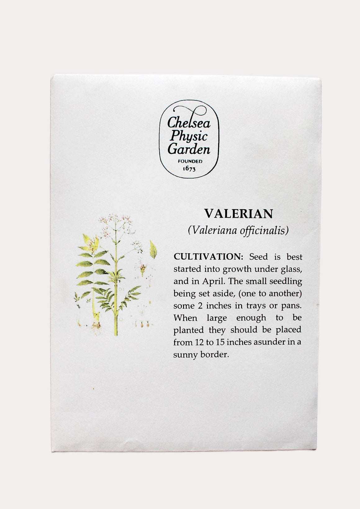 CPG Valerian - Seed Packet – Chelsea Physic Garden Enterprises