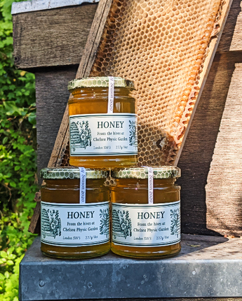 Chelsea Physic Garden Honey Online Pre-sales