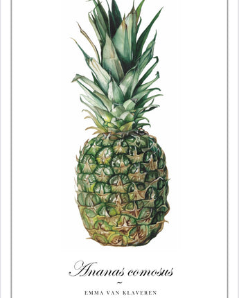 Emma's Botanicals Tea Towel: Pineapple