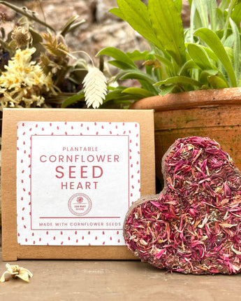 Red Cornflower Seed Heart Sow Many Seeds